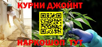 спиды Обь