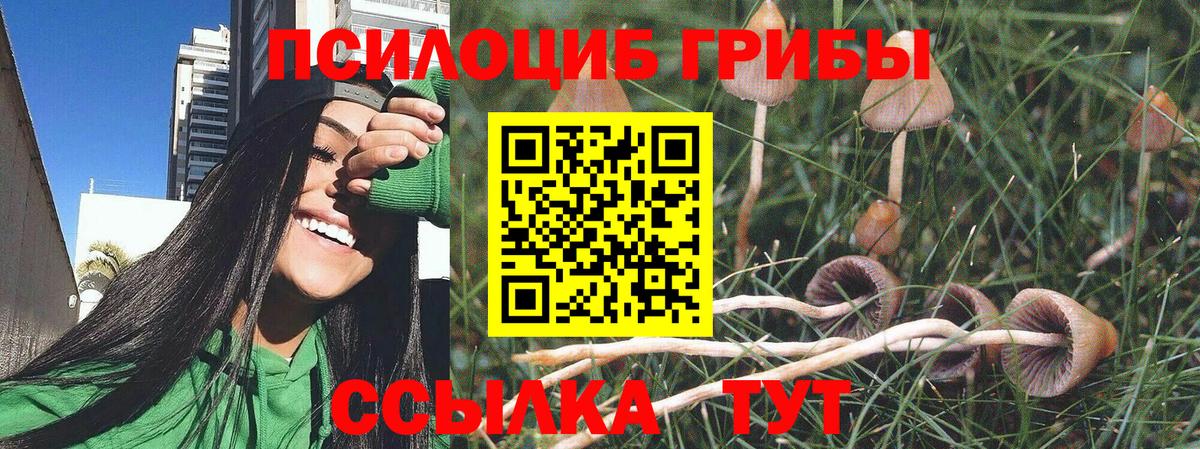 Галлюциногенные грибы ЛСД  купить наркотики цена  Георгиевск  Галлюциногенные грибы MAGIC MUSHROOMS  Вход с VPN 