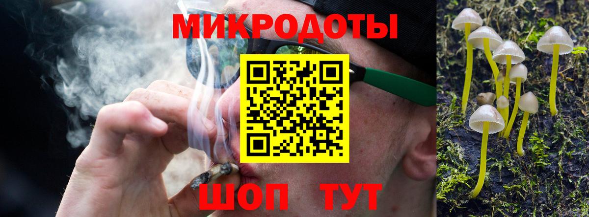 Псилоцибиновые грибы мицелий Георгиевск